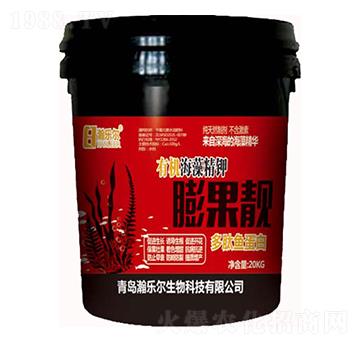 �ЙC(j��)���徫�����n-�