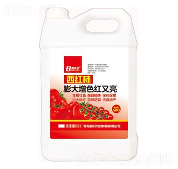 ���t�������ɫ�t����-