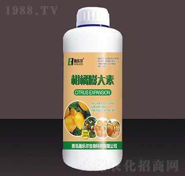 ���������-嫘���