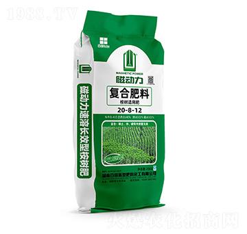 ��䌣�ÏͺϷ���20-8-12-����