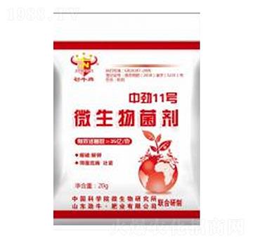 �Є�11̖΢�������-��ţ