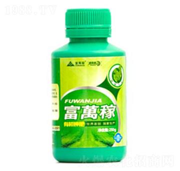 ���݌����~���-���f�