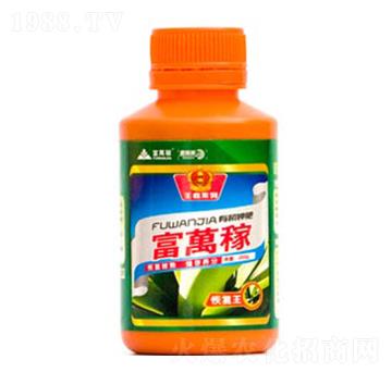 �֏���-���f�