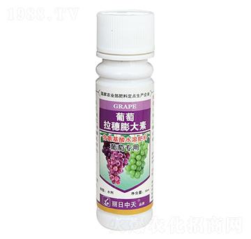 �������������-����ʘI(y��)