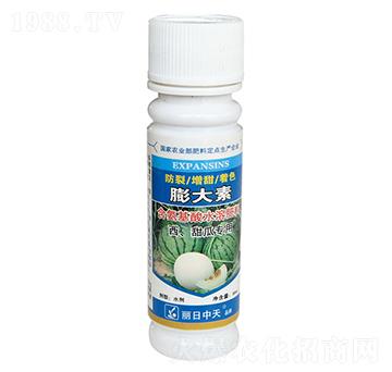 ��������ό���-���������-����ʘI(y��)