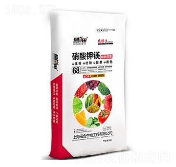 ������V��-�������