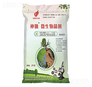 ���z΢�������-�A��