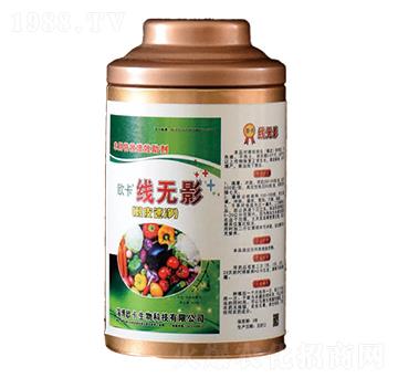 ���oӰ-�W������