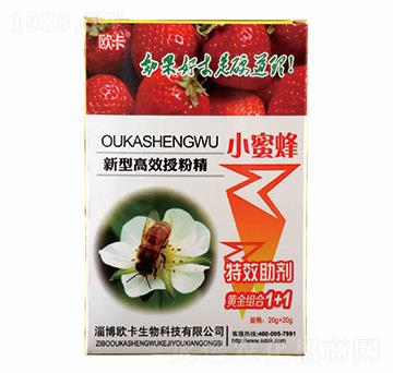 С�۷�-�W������