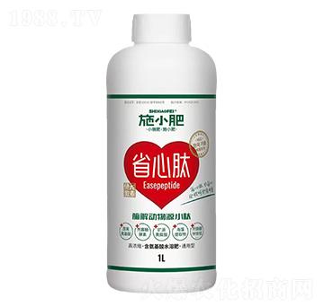 ø�����ԴС��-ʩС��