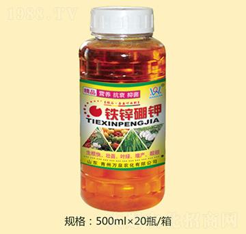 �F�\���-�fȪ�r��