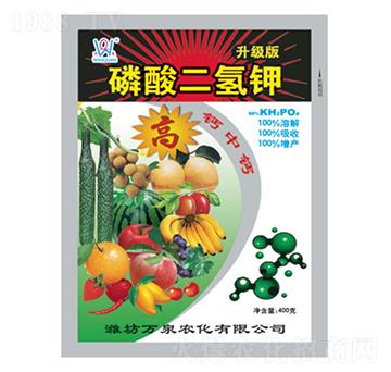 ��������400g-�fȪ�r��