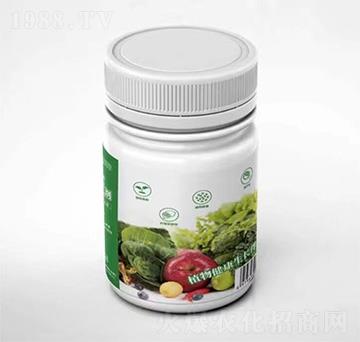 ֲ����愩-�G�A��-ꑈA������