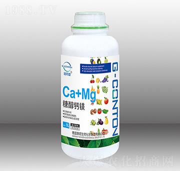 1000gG-CONTON���Ǵ��}�V-��ұ�-�A����