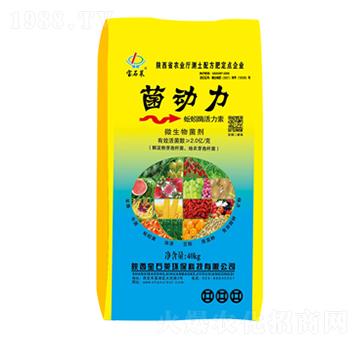 ���������ø������-��ʯ�R