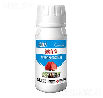 �߿���̿�Ҳ�����-̿�҃�-������