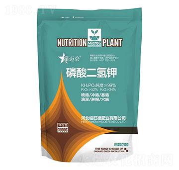 ��������-���~��-����·ʘI(y��)