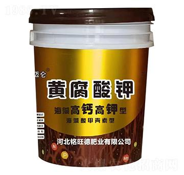 ������}������S�����-���~��-����·ʘI(y��)