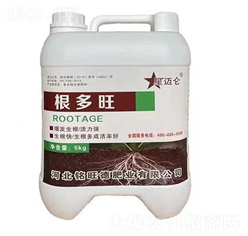 ������-���~��-����·ʘI(y��)