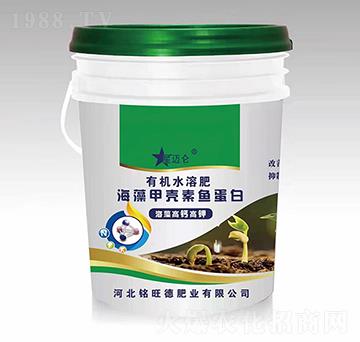 ����ך����~����-���~��-����·ʘI(y��)