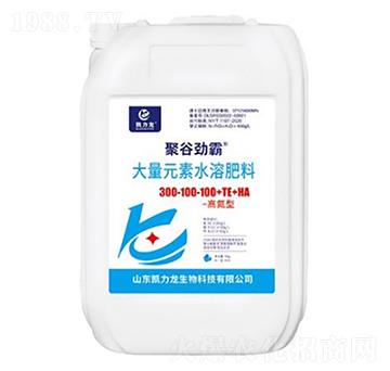 �ߵ��ʹ���Ԫ��ˮ�ܷ���300-100-100-�۹ȄŰ�-�P����