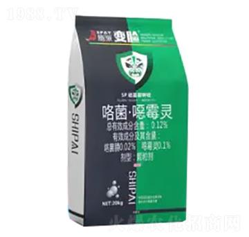 �ߵ���ʩ��׃Ę-ʩ������