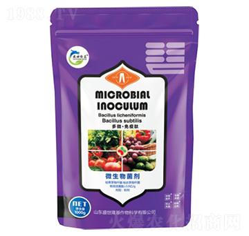 ��S��������-ʢ��¡��