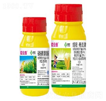 ������-���՘�(l��)