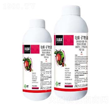 40%�}�����V��������-�s��M-���՘�