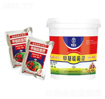 3%�׻�����`����--������