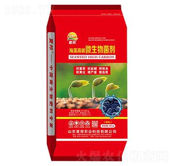 �����̼΢�������-�İ��r(n��ng)�I(y��)