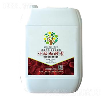 С��Ѫ����-��ֲ��