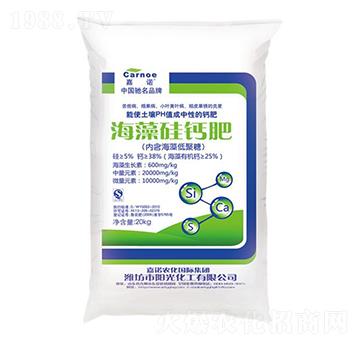 ������}��-���Z-ꖹ⻯��