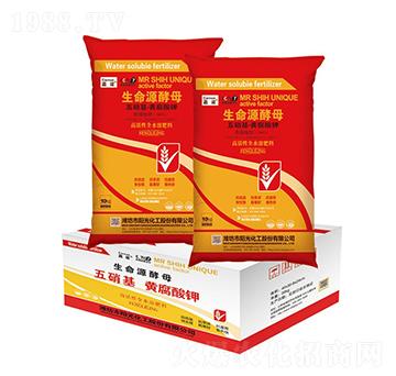 10kg����Դ��ĸ-���Z-ꖹ⻯��