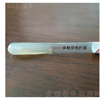 ��ճѿ�ߗU��--б��ԇ��ԭ�N-�Ű�����