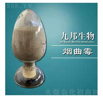 ����ù-�Ű�����