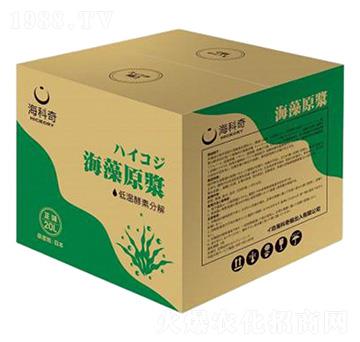 ����ԭ�{-������