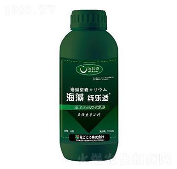 ���往���m-������