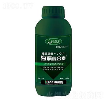 �����(f��)����-������