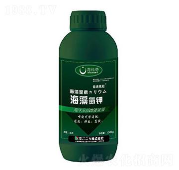 ���嵪�-������