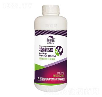 �Ǵ��}�V-������(l��)-����˹