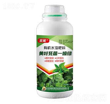 1000g�S�~����һ���G-�g��-����˹