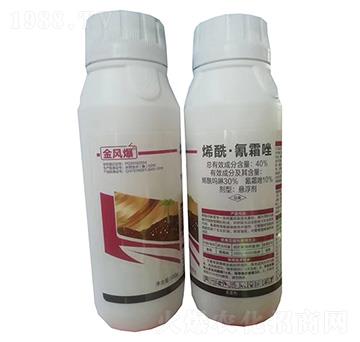 40%ϩ������˪��Ҹ���500g-���L(f��ng)��-�G������