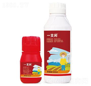 2%�װ������S���ر������}����-һ֧�e-�G������