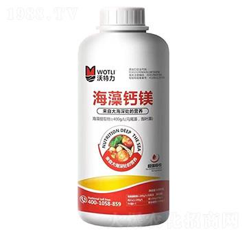 �����}�V-������