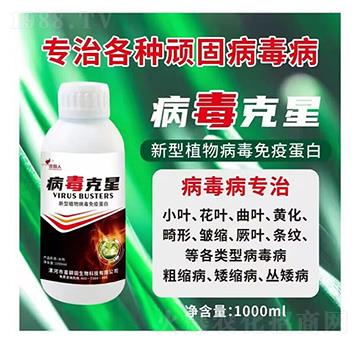 ��������-�f�@��-ϲ����