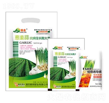 �[���⿹�����L(zh��ng)�����-