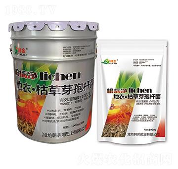 ���¡��ݲ�ѿ�ߗU��-������-�n��-�n��ʘI(y��)