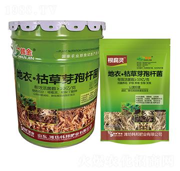 ���¡��ݲ�ѿ�ߗU��-�����`-�n��-�n��ʘI(y��)