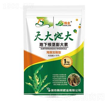 ����ӏ�(qi��ng)�͵��¸��o���